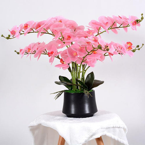 Elegant arrangement of artificial pink orchids in a sleek black pot. The vibrant pink flowers cascade gracefully, complemented by lush green leaves, making it a perfect decorative piece for adding a pop of color to any space.