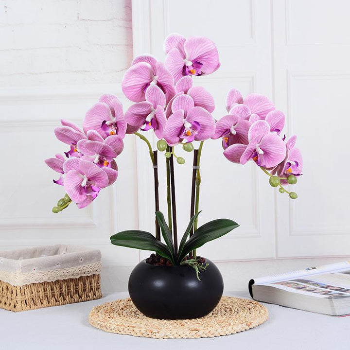 A vibrant display of light pink orchid flowers with purple accents at the center, arranged elegantly in a black vase. The green leaves and delicate flower buds complement the overall aesthetic, creating a graceful and modern floral arrangement.
