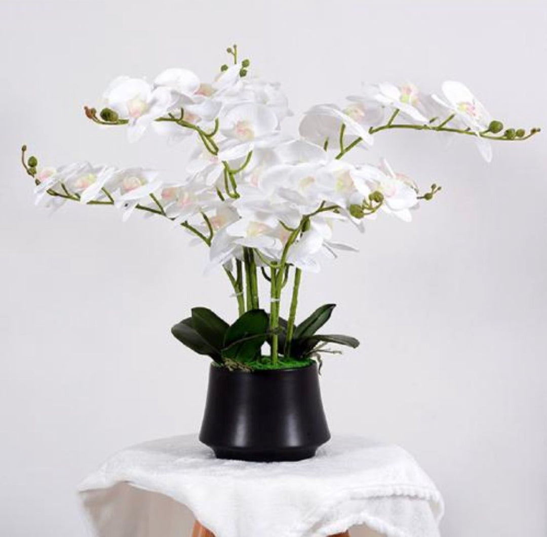 Elegant arrangement of artificial white orchids in a sleek black pot. The vibrant white flowers cascade gracefully, complemented by lush green leaves, making it a perfect decorative piece for adding a pop of color to any space.