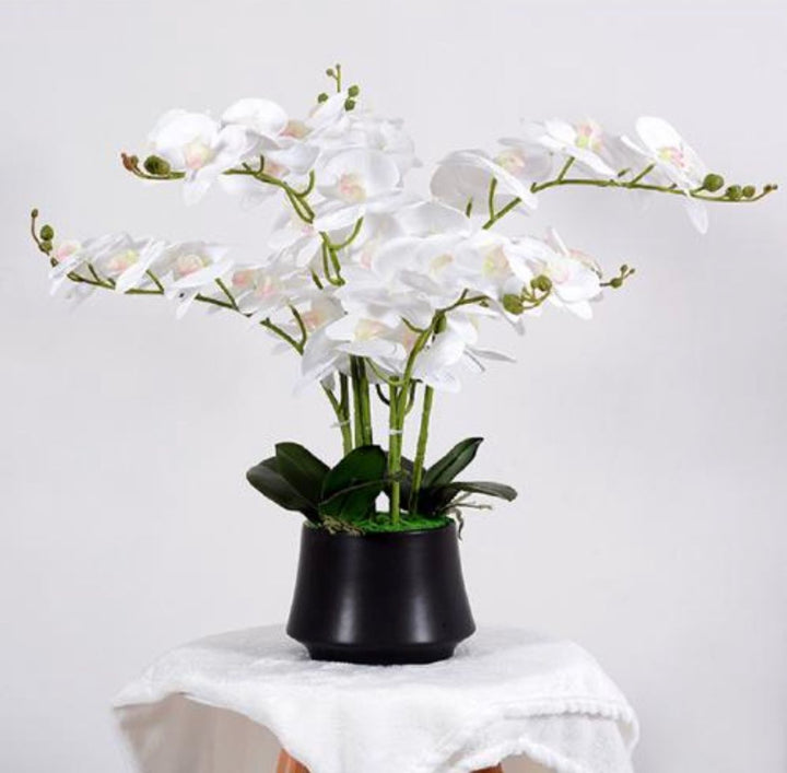 Elegant arrangement of artificial white orchids in a sleek black pot. The vibrant white flowers cascade gracefully, complemented by lush green leaves, making it a perfect decorative piece for adding a pop of color to any space.