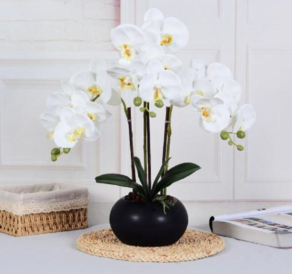 A stunning arrangement of white artificial orchids in a black ceramic planter on a wooden coffee table. Frequently asked question: What is the best way to care for artificial orchid flowers to keep them looking fresh?