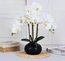 Charger l&#39;image dans la galerie, Orchidée Artificielle - Vase Blanc avec Cercle Noir
