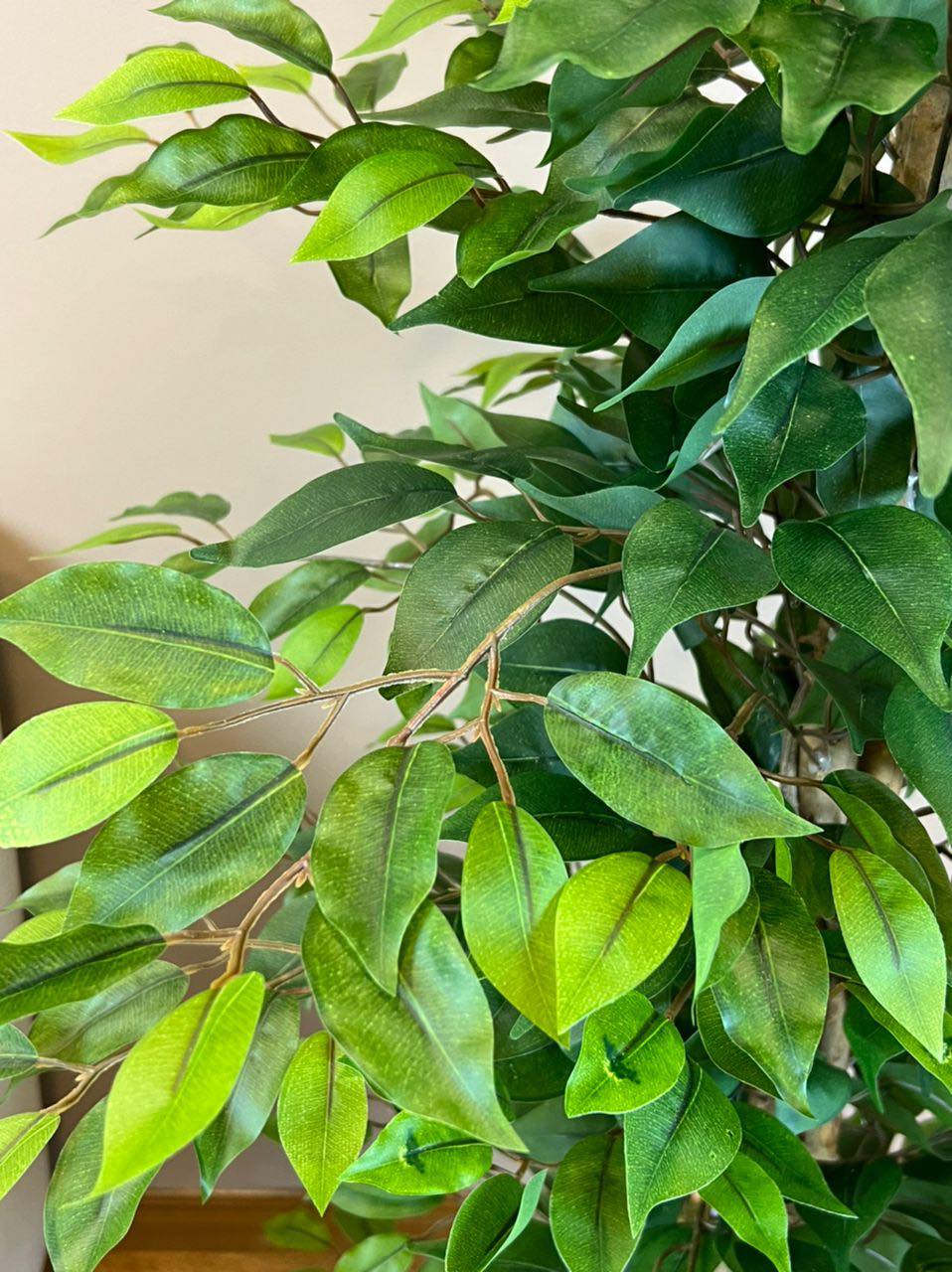 Close-up of lush green leaves on an artificial ficus plant, showcasing their detailed texture and vibrant color.