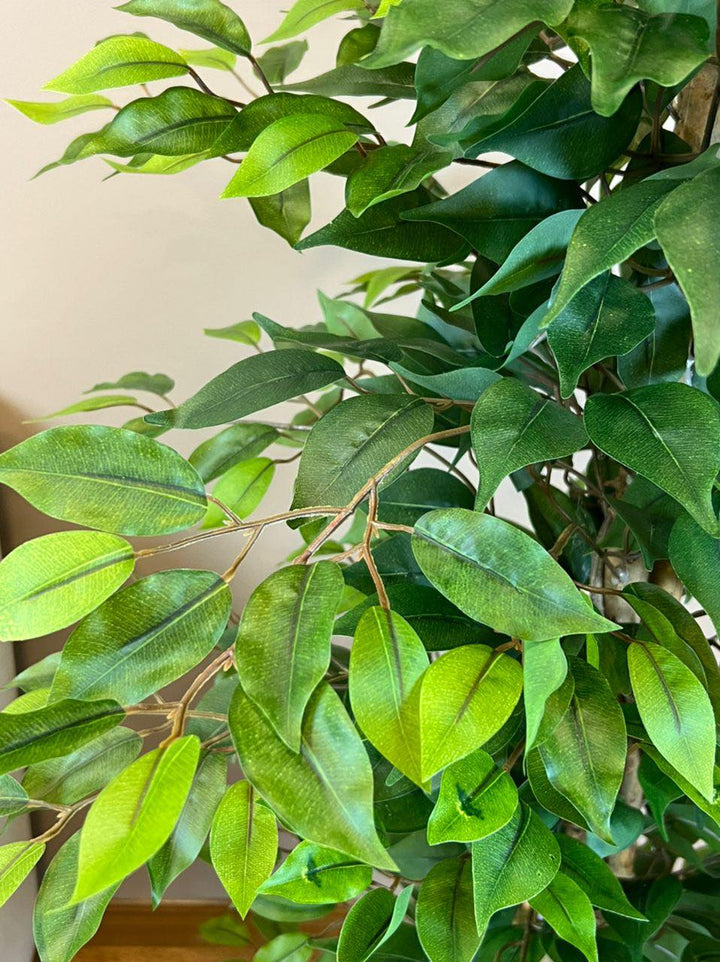 Close-up of lush green leaves on an artificial ficus plant, showcasing their detailed texture and vibrant color.