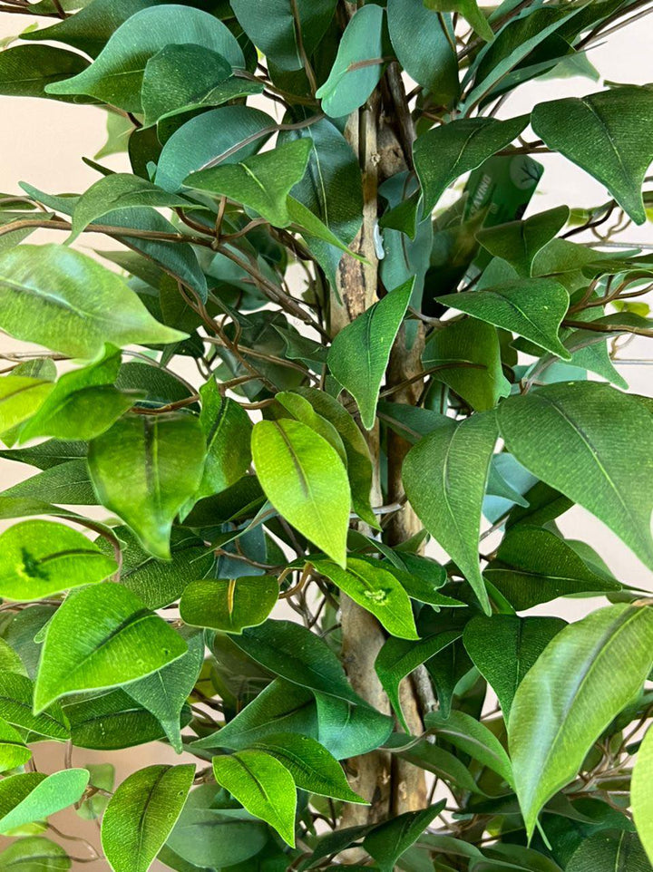 Close-up of artificial ficus leaves showing layered texture and green shading.