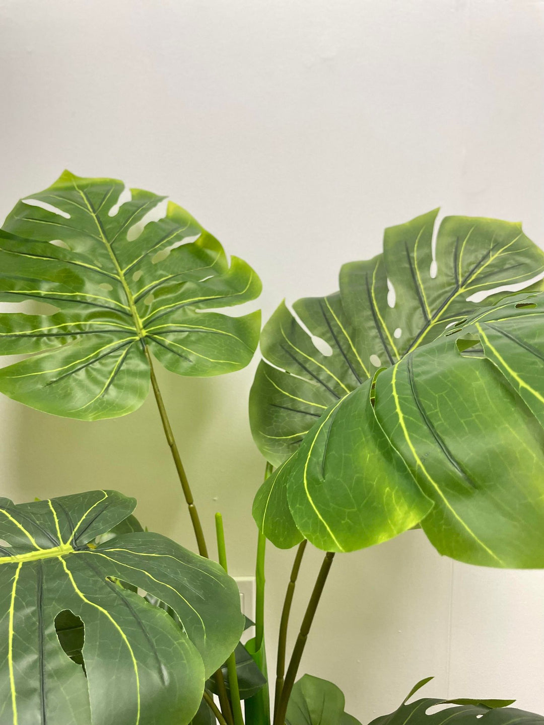 Close-up view of artificial monstera plant stems, featuring vibrant green shades.