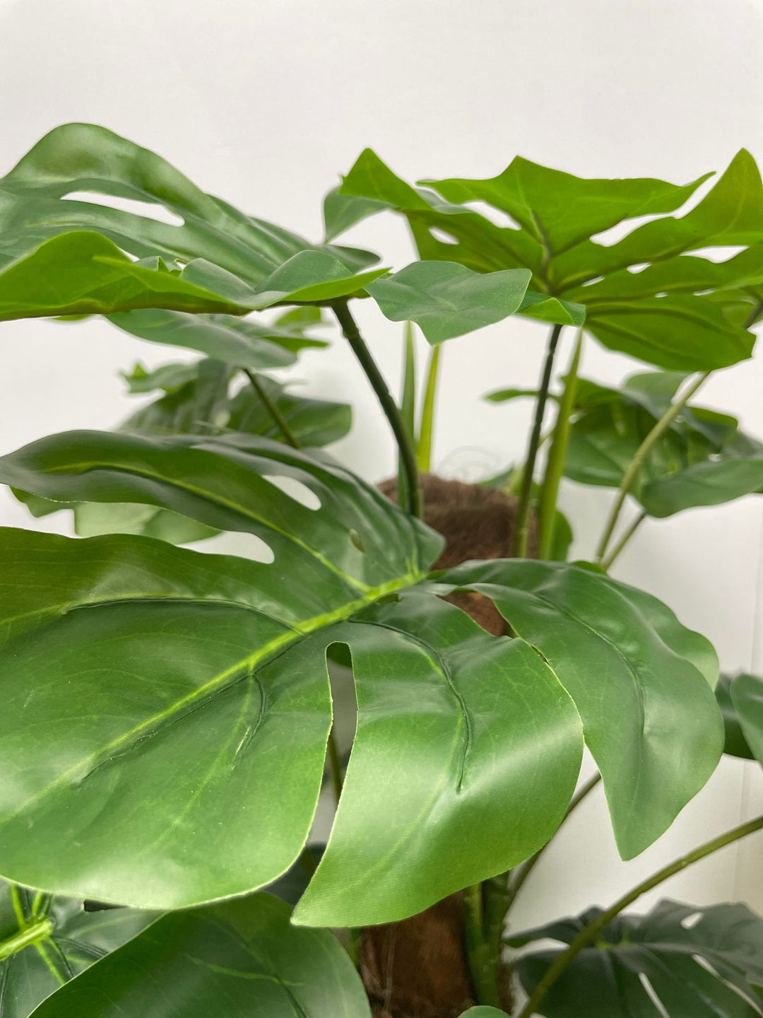 Close-up of artificial monstera leaves showcasing their large, glossy, dark green surface with realistic-looking veins and distinctive splits. 