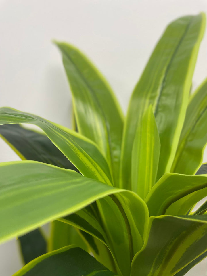Close-up view of vibrant green artificial Yucca leaves with bold yellow accents. 