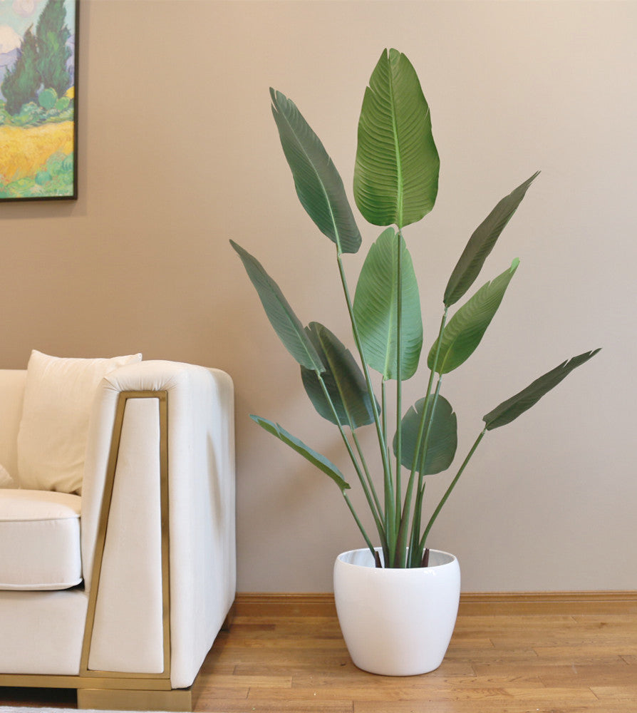Artificial banana leaf plant with tall, lush green leaves in a sleek white planter, positioned beside a modern cream-colored sofa in a living room with warm wood flooring and a framed landscape painting on the wall.
