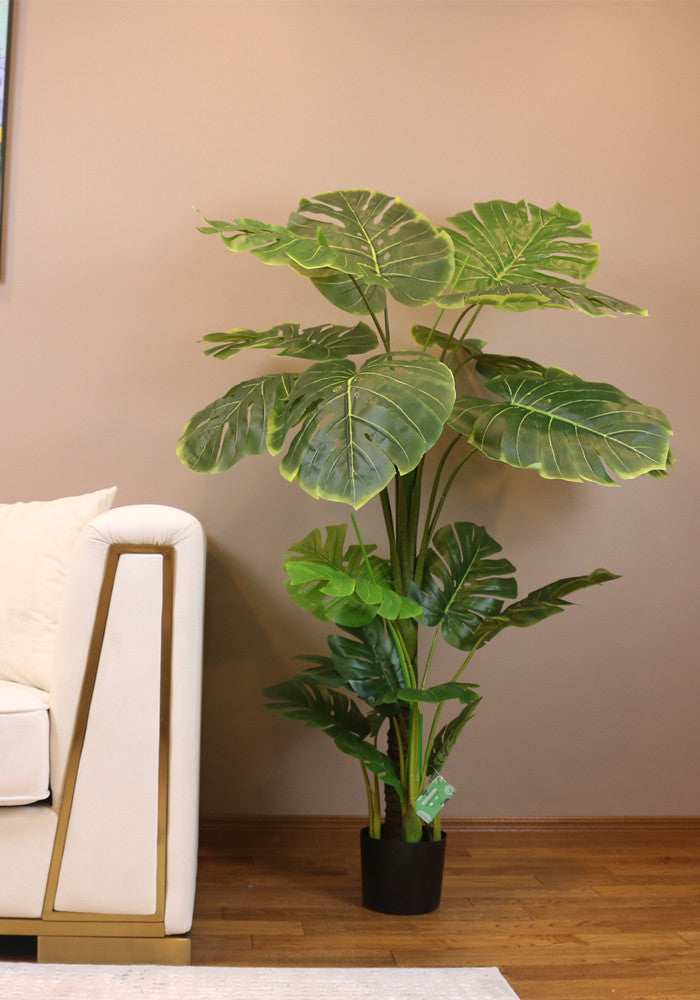Artificial monstera plant in a black pot placed beside a modern beige sofa in a stylish living room. The lush green foliage adds a vibrant touch to the neutral-colored space, complemented by a colorful wall painting above the sofa, creating a cozy and inviting atmosphere.