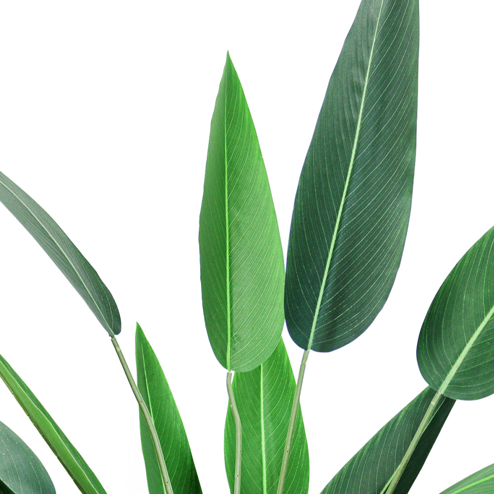 Close-up view of the upper section of a large 7ft artificial bird of paradise plant, showing several long, vibrant green leaves with detailed veining, set against a plain white background.